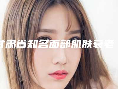 甘肃省知名面部肌肤衰老医院推荐:面部肌肤衰老医院30强严选