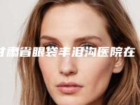 甘肃省眼袋丰泪沟医院在榜清单top10优先公布-甘肃省眼袋丰泪沟整形医院