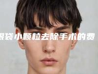 眼袋小颗粒去除手术的费用及术后护理方式