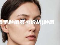 眉毛种植多少价格(种眉毛一般能保持多久)