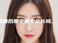 纹眉后那个眉毛会长吗,纹眉以后眉毛会长出来吗