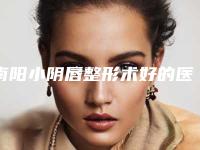 南阳小阴唇整形术好的医院榜单出炉[南阳市哪里有小妮]