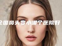 全国鼻头变小哪个医院好：鼻头变小医院50强有哪些