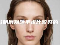 做阴唇割除手术比较好的医生长春市(张志民医生实力新秀登场)