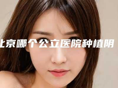 北京哪个公立医院种植阴毛比较好?