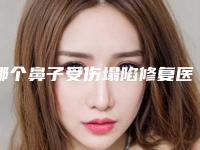 哪个鼻子受伤塌陷修复医生好中国：鼻子受伤塌陷修复医生前50权威名单表