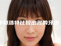 呼和浩特比较出名的牙齿贴面整形医生有哪些？