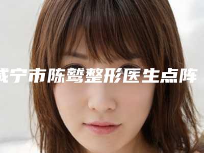 咸宁市陈鹫整形医生点阵激光只做鼻子美容整形价钱