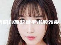 信阳自体软骨手术的效果理想吗