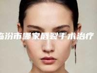 临汾市哪家唇裂手术治疗医院-临汾臻容医疗美容门诊部获网友强赞