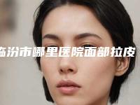 临汾市哪里医院面部拉皮术除皱好(临汾佳美医疗美容门诊部是人气医美top)