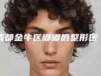 成都金牛区嘟嘟唇整形医院哪几家实力好2025年,金牛区嘟嘟唇比较好的正规医院!