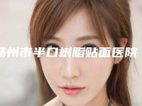 扬州市半口树脂贴面医院排行随你挑选(江苏扬州蜀冈菲特口腔门诊部各大技术优势)