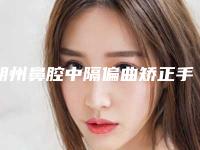 朔州鼻腔中隔偏曲矫正手术的价格怎样呢