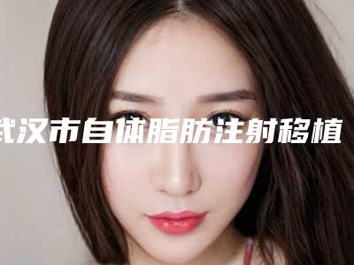 武汉市自体脂肪注射移植术医院综合实力前十位排名人气一览(青山区美辰医疗美容门诊部备受美誉)