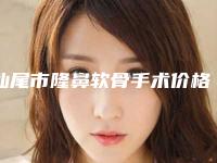 汕尾市隆鼻软骨手术价格(费用)清单优惠2025-汕尾市隆鼻软骨手术医院费用贵不贵呀