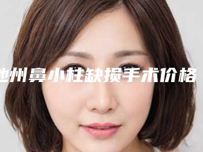 池州鼻小柱缺损手术价格是多少费用