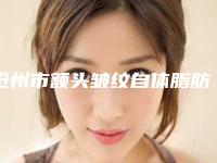 沧州市额头皱纹自体脂肪填充医院排行前十名靠谱公布-沧州市额头皱纹自体脂肪填充整形医院