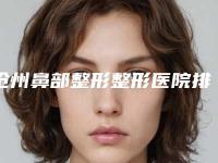 沧州鼻部整形整形医院排行榜前八强,沧州中西医结合医院医疗美容科口碑评价极高
