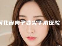 河北省鼻子变尖手术医院排名前十位口碑一一揭晓TOP10榜上有名-河北省鼻子变尖手术整形医院