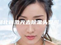 湖北省激光去除黑头整形医院(武汉化蝶整形全城知名度高涨)
