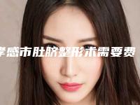 孝感市肚脐整形术需要费用是多少钱(孝感市肚脐整形术近半年价格7600)