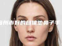 宿州市好的自体垫鼻子手术的医院(宿州凯思医疗美容门诊部总有一家适合你)