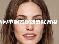 大同市眼袋拨筋去除费用表明细分享_热门项目一览-大同市眼袋拨筋去除价格和效果怎样