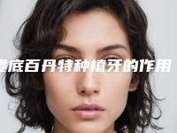 娄底百丹特种植牙的作用能够保持多长的时间