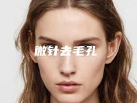 微针去毛孔