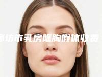 廊坊市乳房隆胸假体收费明细展示_热门项目分享-廊坊市乳房隆胸假体一般手术价格是多少