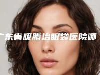 广东省吸脂治眼袋医院哪儿好(佛山凯瑟琳医学美容门诊好还实惠)