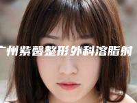 广州紫馨整形外科溶脂射频医生哪个技术牛