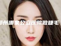 郑州哪家公立医院做睫毛种植专业？