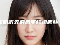 邵阳市无痕眉毛移植哪些医院好(邵阳华美整形医疗美容门诊部业内直呼内行)