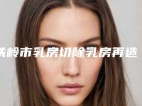 铁岭市乳房切除乳房再造医院口碑榜前十位哪几家实力强-铁岭市凡河新城美嘉丽整形外科门诊部点着看价格表_技术