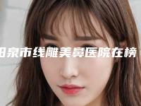 阳泉市线雕美鼻医院在榜清单top10强全新爆出-阳泉首尔俪格医疗美容诊所上榜理由透明