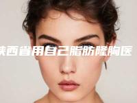 陕西省用自己脂肪隆胸医院综合实力top10强口碑排行榜哪个更权威（西安晗美医疗美容领衔前三甲）