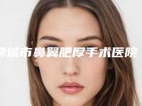 聊城市鼻翼肥厚手术医院比较正规(聊城烧伤整形与医学美容门诊稳居前三)