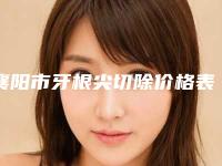 襄阳市牙根尖切除价格表热门项目抢先一览-襄阳市牙根尖切除价格