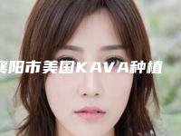 襄阳市美国KAVA种植牙价格(费用)清单2025提前一览-襄阳市美国KAVA种植牙价格