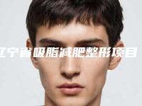 辽宁省吸脂减肥整形项目价格表全新一览-辽宁省吸脂减肥是如何确定价格