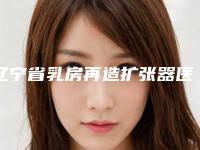 辽宁省乳房再造扩张器医生在榜清单前十位2025新榜单公布-赵业伟医生口碑好_放心选