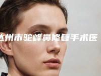 达州市驼峰鼻修复手术医院口碑排行榜实至名归(达州双均医疗美容口碑实力双靠谱)