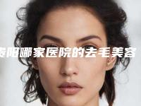 贵阳哪家医院的去毛美容排名最靠前(贵阳哪家医院的去毛美容排名最靠前呢)
