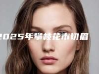 2025年攀枝花市切眉修复医院口碑排行榜前十名揭露(攀枝花市切眉修复整形医院)