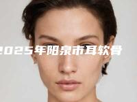 2025年阳泉市耳软骨隆鼻头整形医院在榜名单综合实力比较强